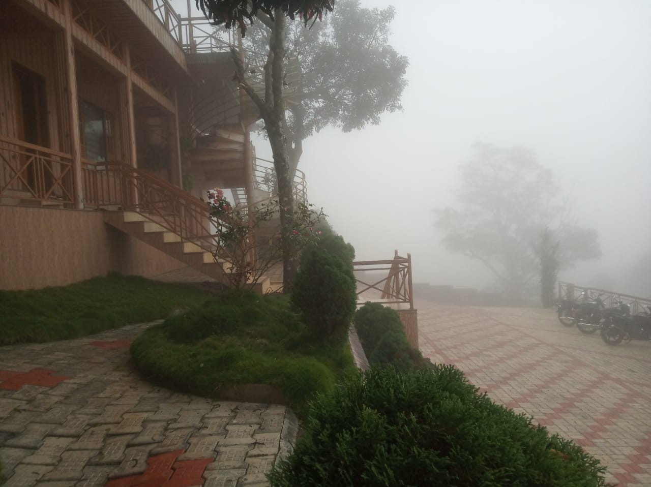 Misty Morning Munnar
