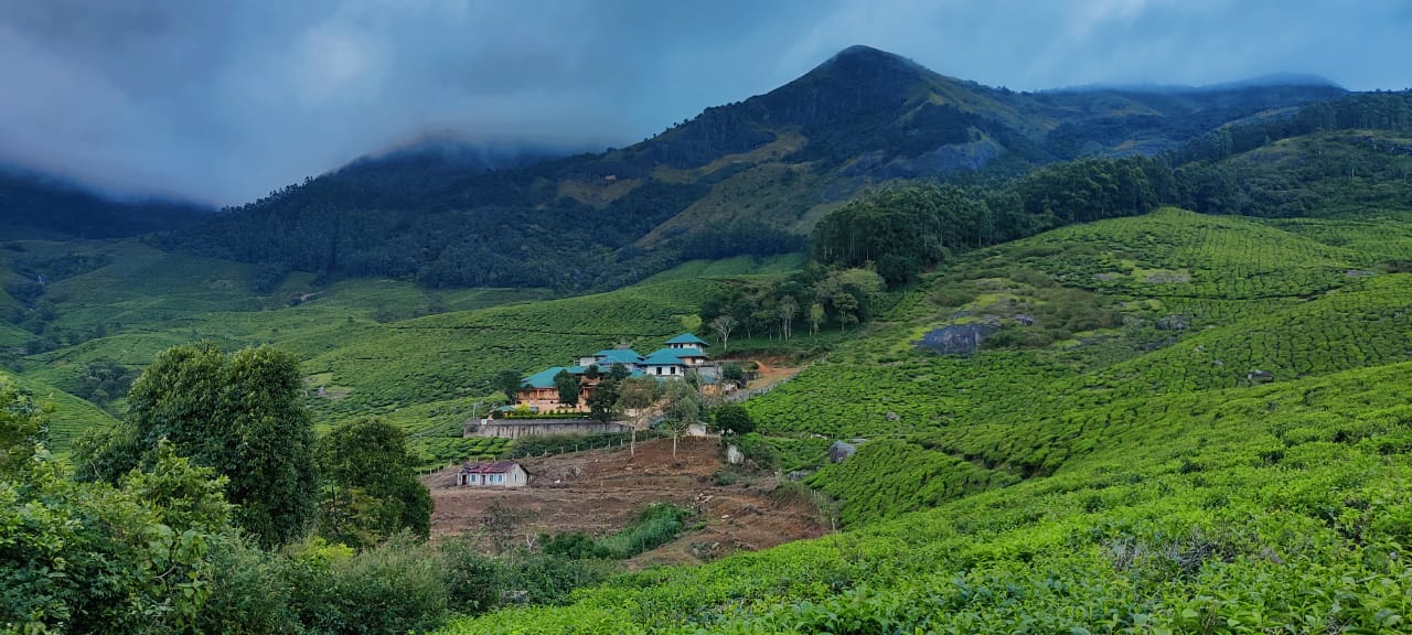 Munnar Valley Vista