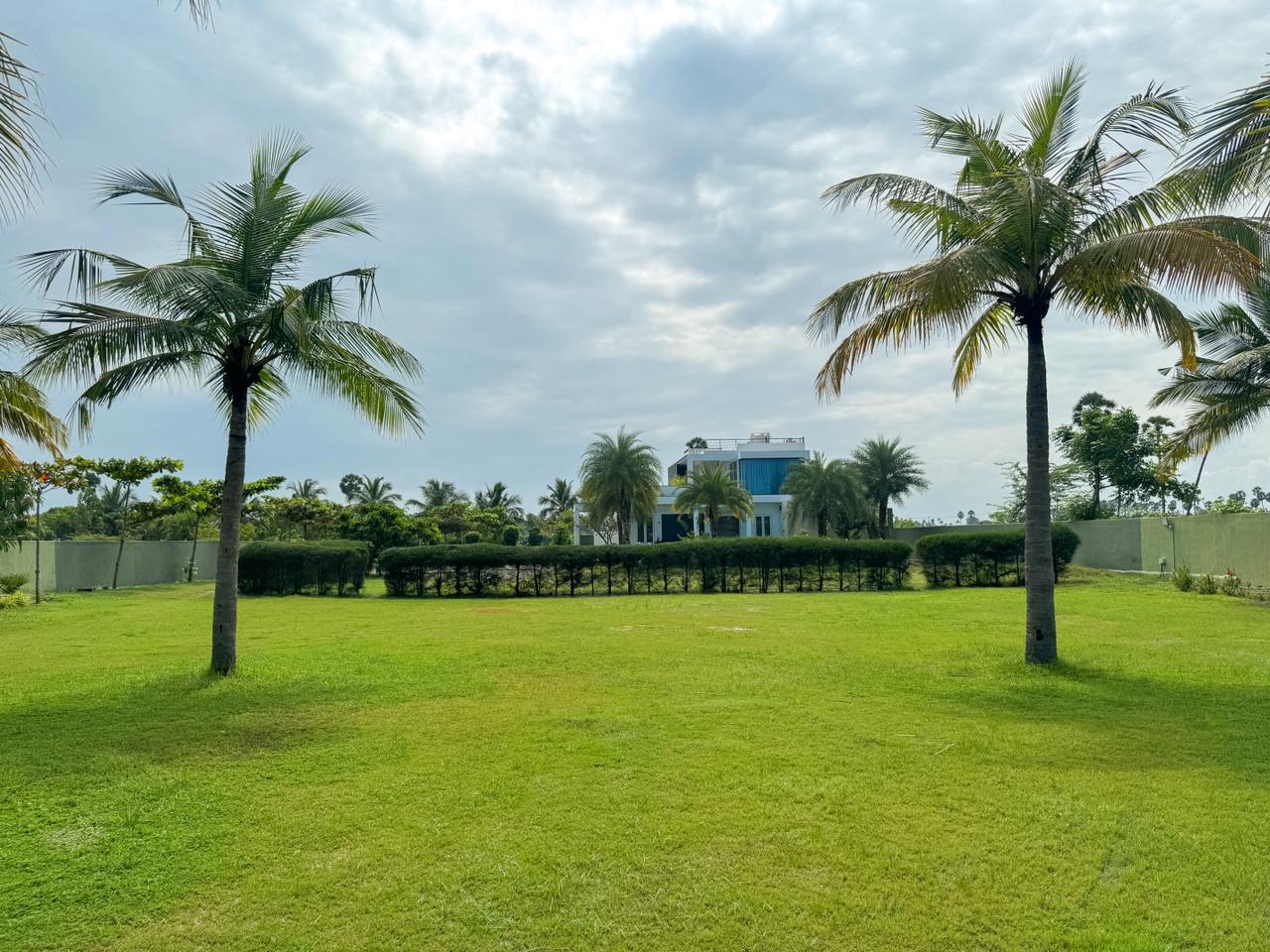 Palm Lawn OMR